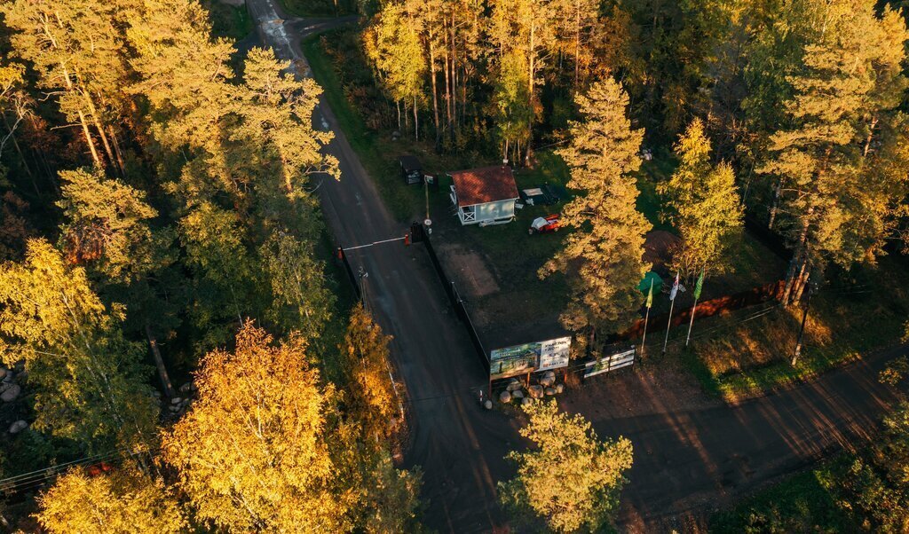 земля р-н Выборгский Приморское городское поселение, коттеджный посёлок Сосновый пляж фото 13