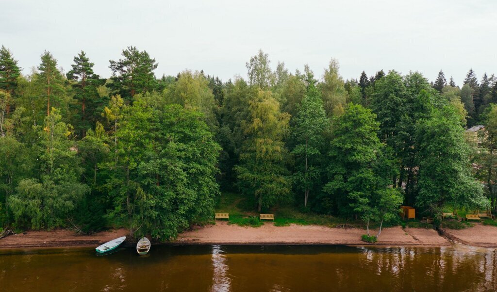 земля р-н Выборгский Приморское городское поселение, коттеджный посёлок Сосновый пляж фото 7