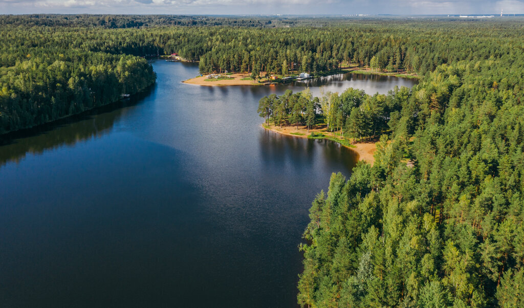 земля Колтушское городское поселение, коттеджный посёлок Крокусы фото 11