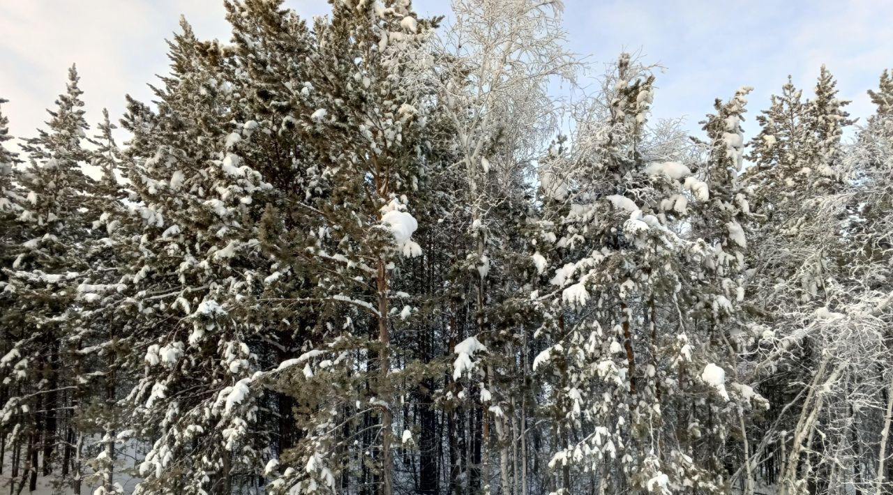 офис у Мегино-Кангаласский п Нижний Бестях городское поселение Нижний Бестях фото 1