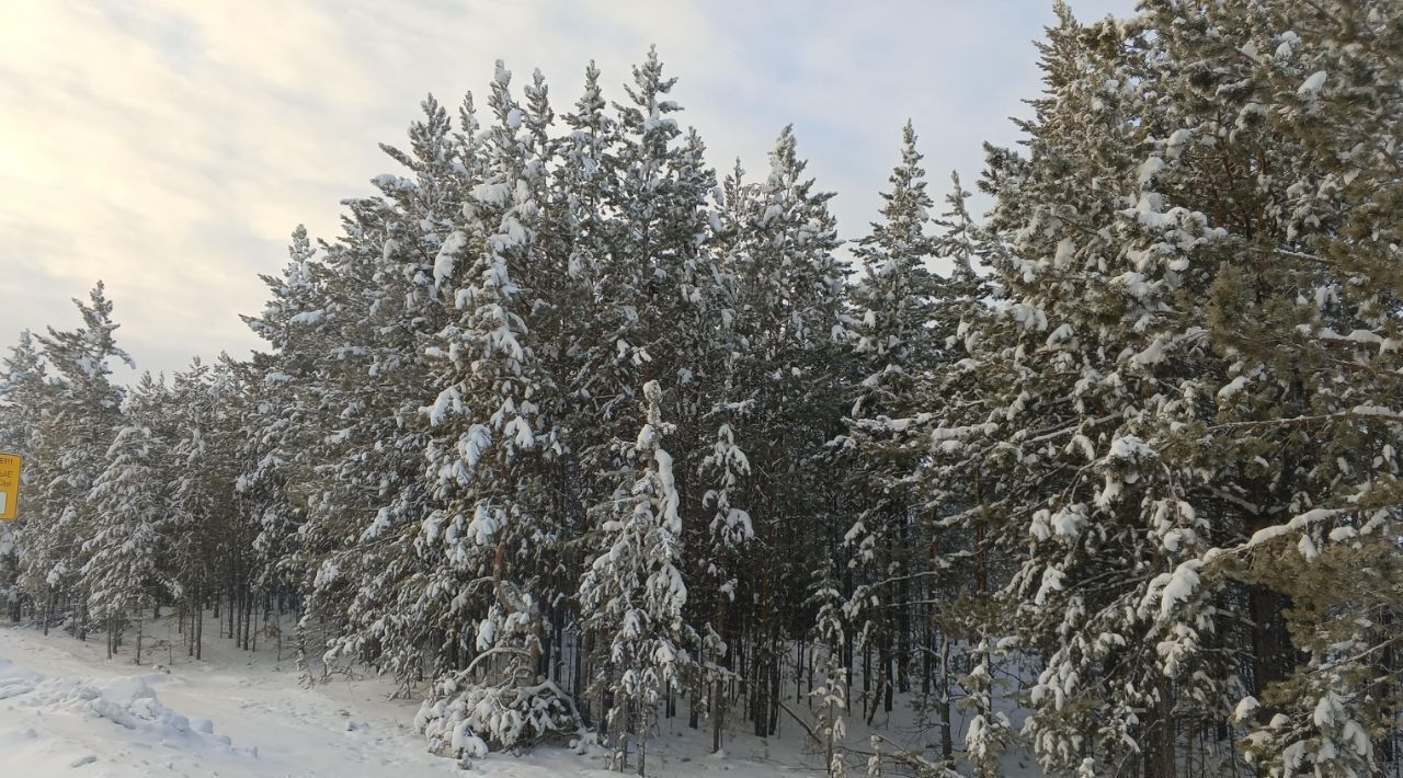 офис у Мегино-Кангаласский п Нижний Бестях городское поселение Нижний Бестях фото 2