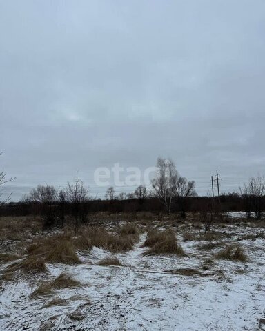 Бабяковское сельское поселение, Воронеж фото