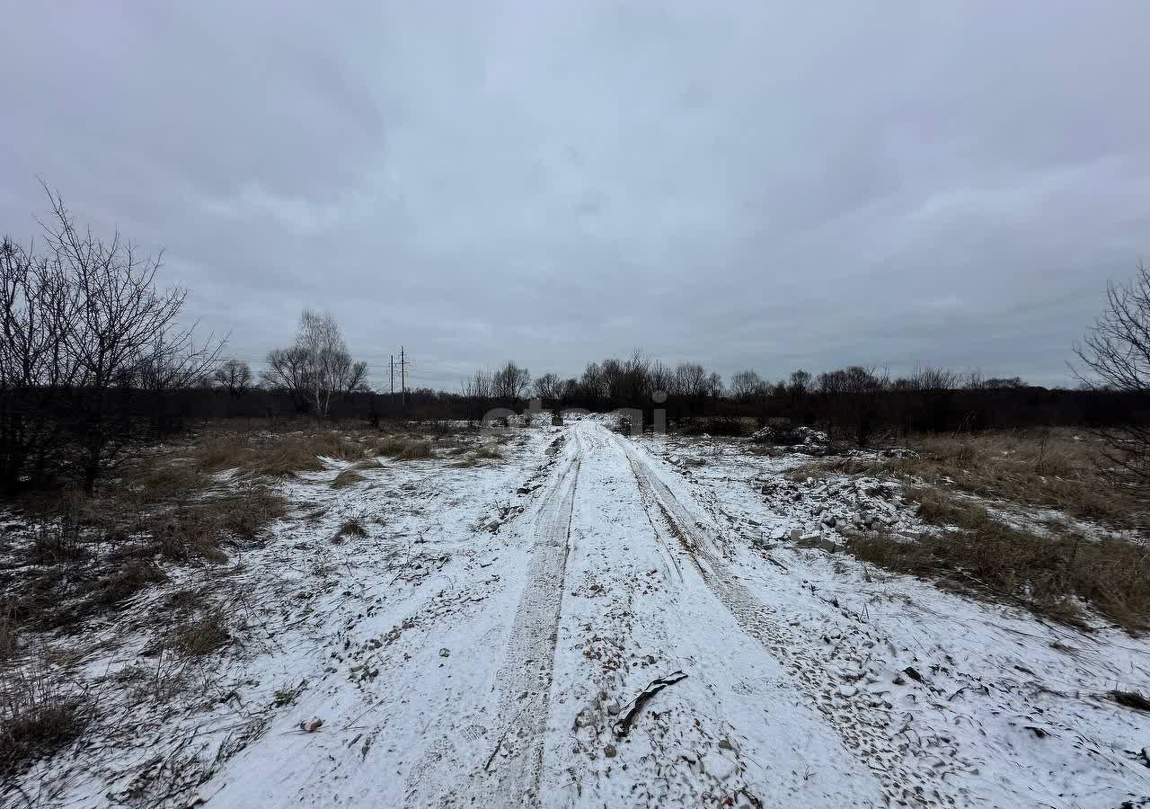 земля р-н Новоусманский Бабяковское сельское поселение, Воронеж фото 1