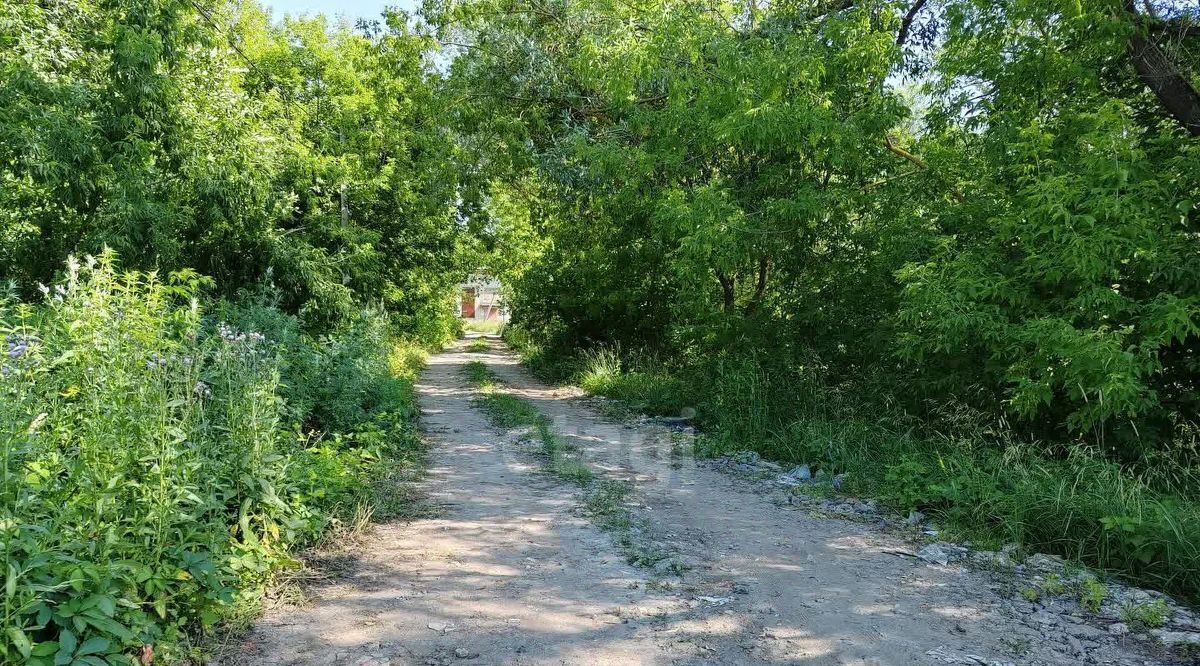 земля городской округ Коломенский д Андреевка 19, Коломна городской округ фото 8