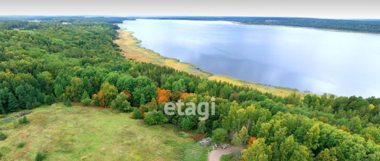 земля Ромашкинское с/пос, Приозерский район, Ромашки СНТ фото 4