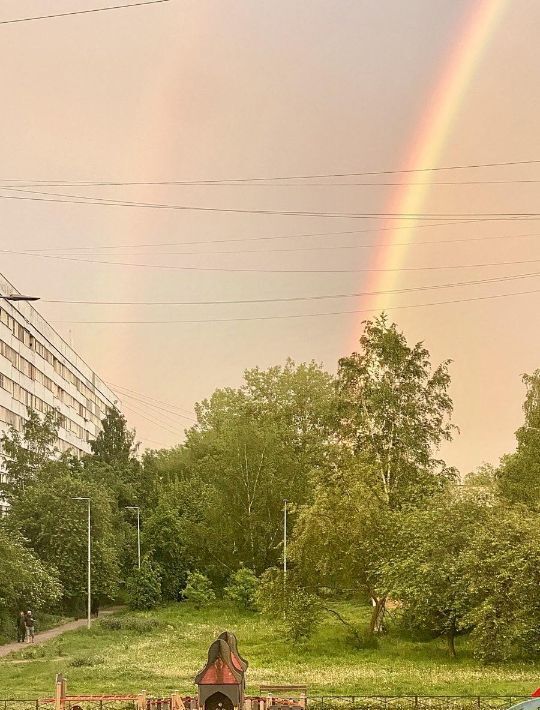 квартира г Санкт-Петербург метро Проспект Ветеранов ул Стойкости 20 округ Ульянка фото 26