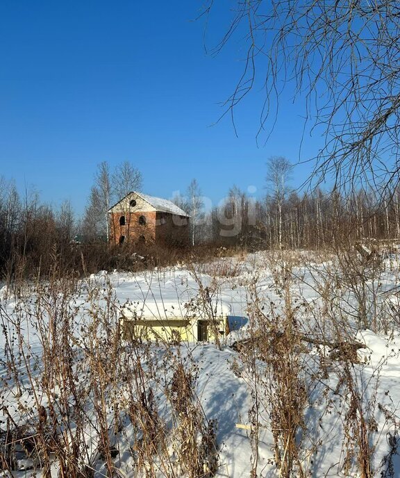 земля р-н Комсомольский с Пивань ш Совгаванское 75 сельское поселение Село Пивань фото 4