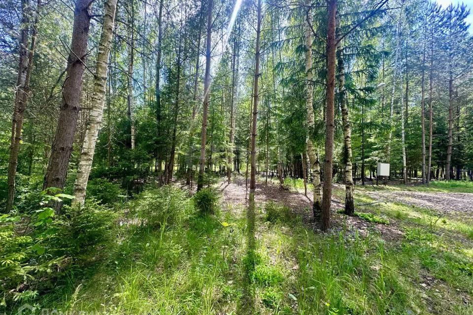 земля городской округ Ступино д Шелково Коттеджный посёлок Shelkovo Forest фото 2