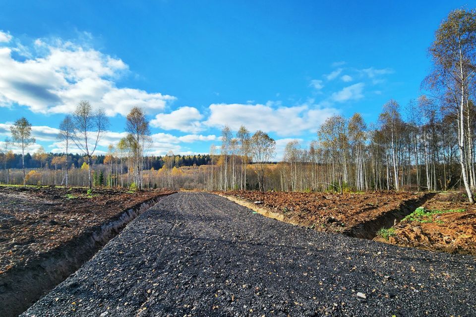 земля городской округ Клин Клин фото 4