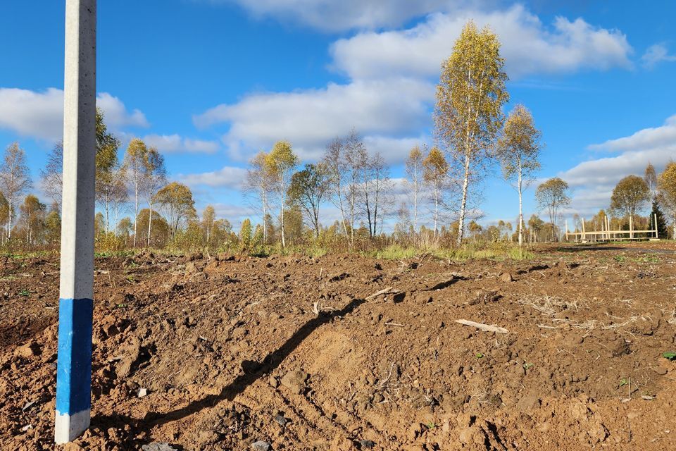 земля городской округ Клин Клин фото 2