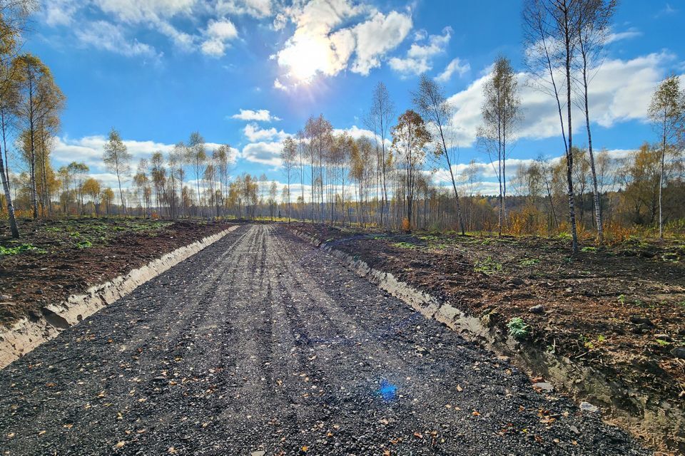 земля городской округ Клин Клин фото 3