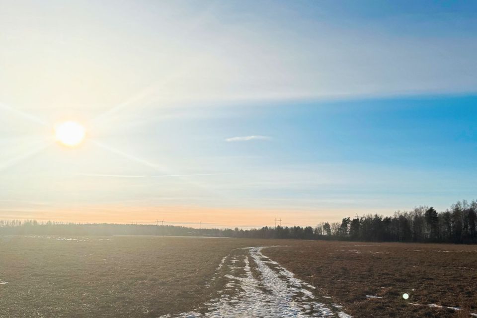 земля городской округ Богородский Ново фото 2