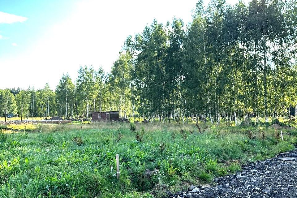 земля городской округ Богородский д. Пешково фото 4