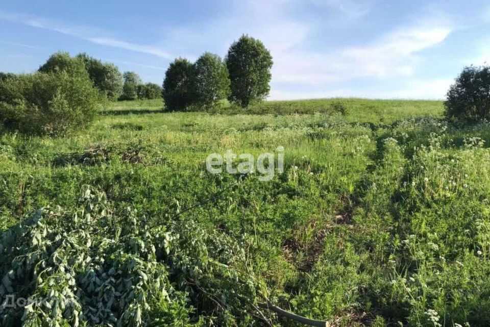 земля р-н Всеволожский д. Куйвози фото 2