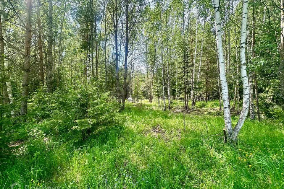 земля городской округ Ступино д Шелково Коттеджный посёлок Shelkovo Forest фото 7