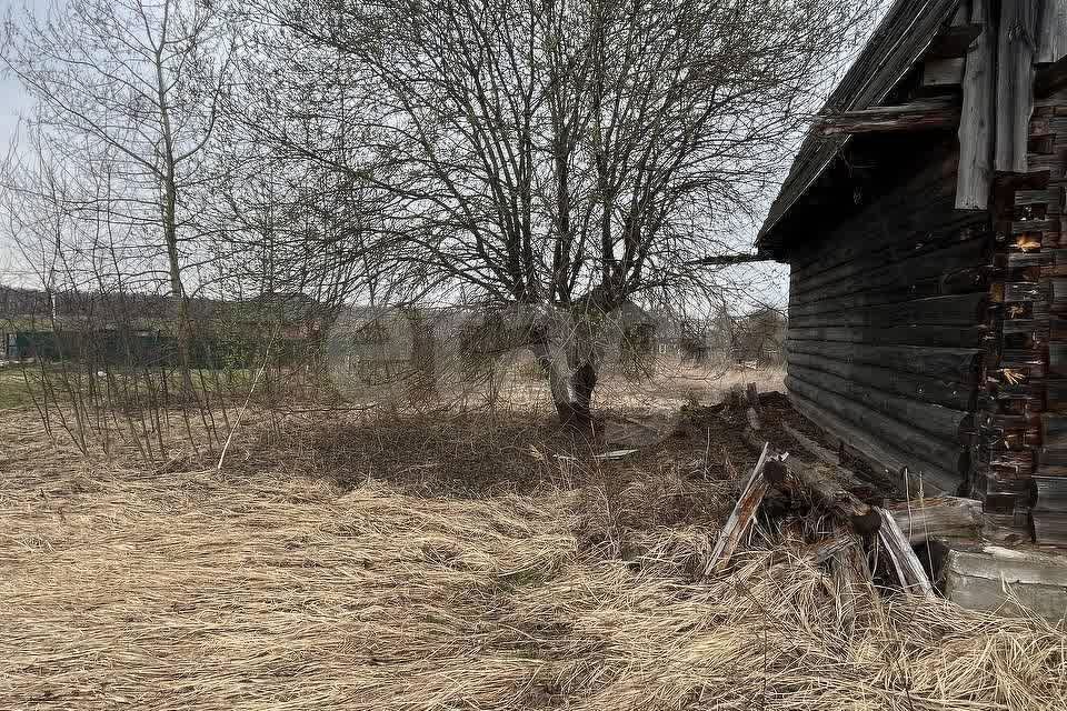 земля городской округ Домодедово д. Тупицино фото 5