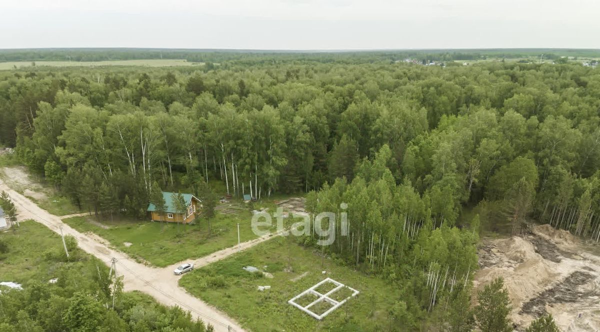 земля р-н Новосибирский п Степной Кубовинский сельсовет, ул. Лесная фото 5