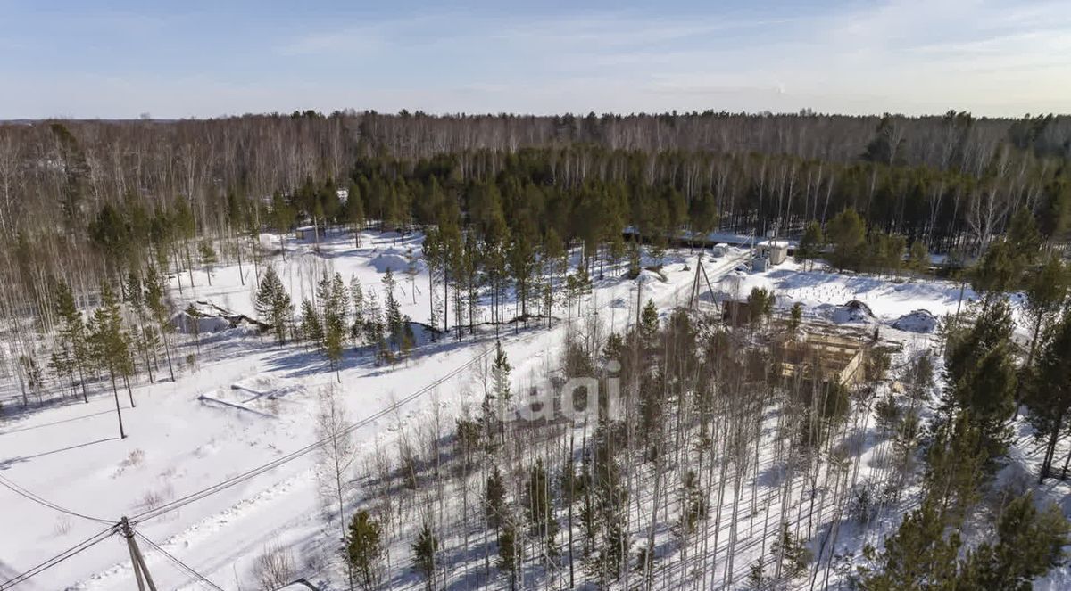 земля р-н Новосибирский п Степной Кубовинский сельсовет, ул. Лесная фото 22