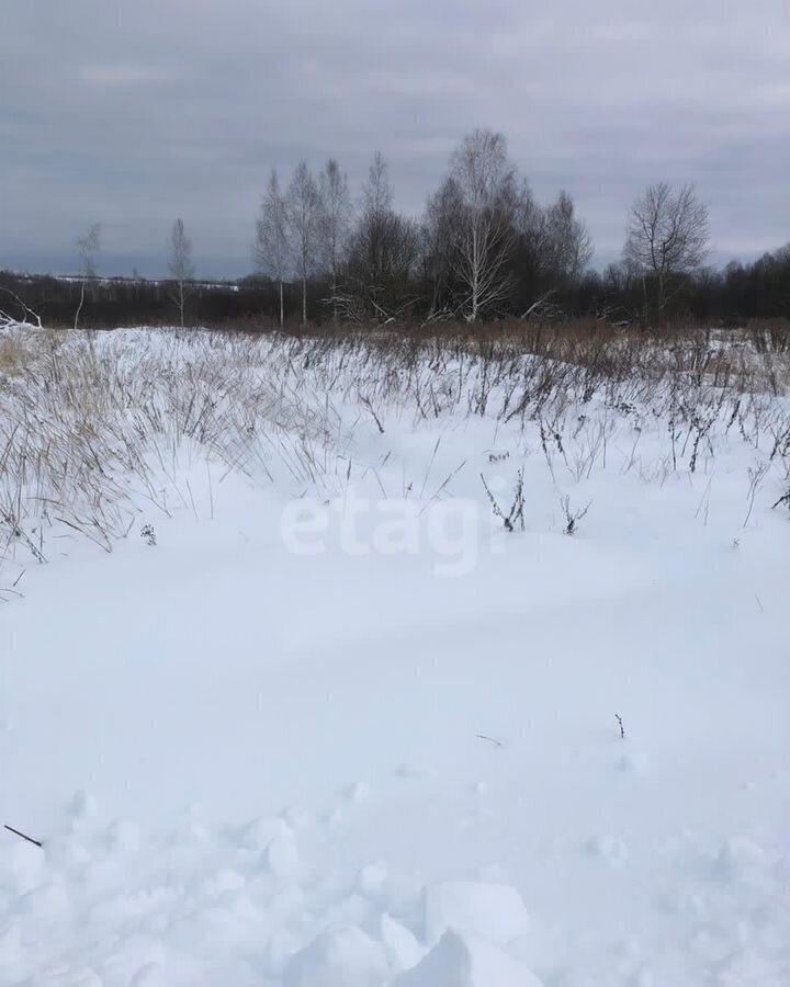 земля р-н Брянский тер Добрунское сельское поселение снт сдт Пищевик Добрунское сельское поселение, Супонево, д. Добрунь фото 10