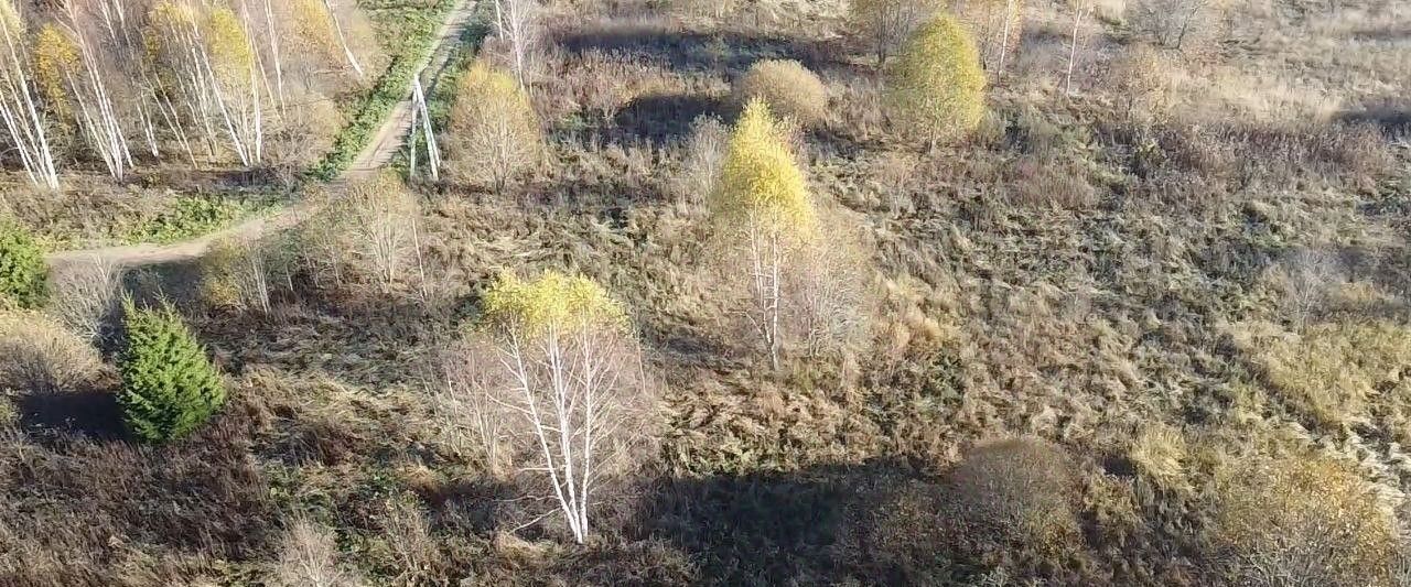 офис городской округ Волоколамский д Чернево фото 3