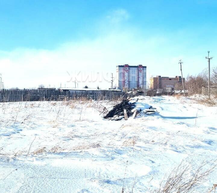 земля р-н Новосибирский с Криводановка Площадь Гарина-Михайловского фото 5