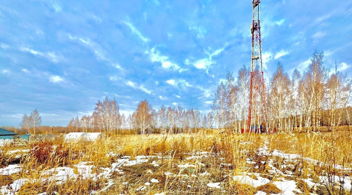 земля городской округ Воскресенск д Старая фото 6