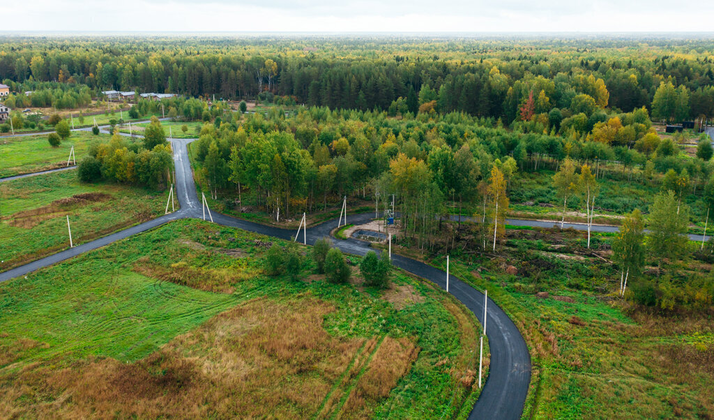 земля Колтушское городское поселение, коттеджный посёлок Крокусы фото 25