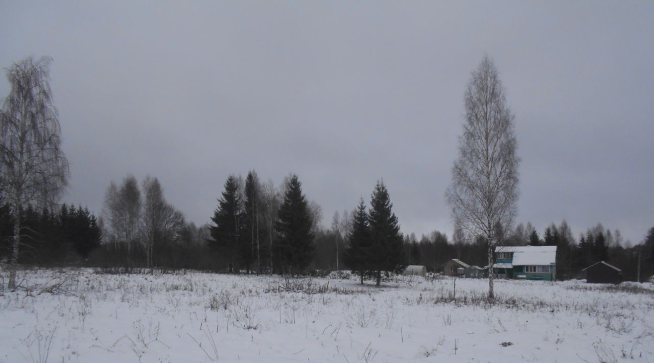 офис городской округ Шаховская д Высоково ул Центральная фото 1