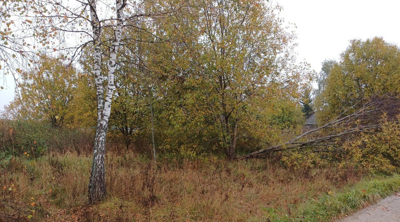 офис городской округ Наро-Фоминский д Купелицы фото 2