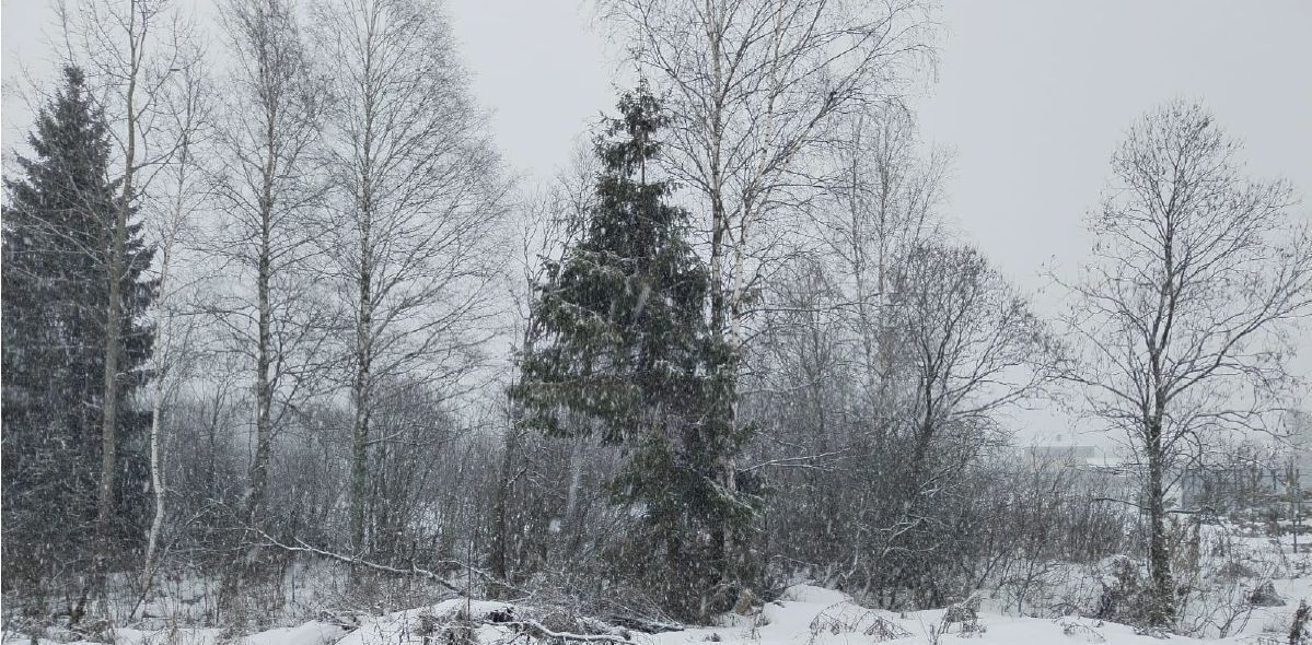 офис городской округ Дмитровский п Овсянниково фото 1