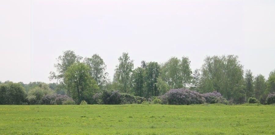 дом р-н Александровский дпк Дарьино Каринское муниципальное образование фото 37