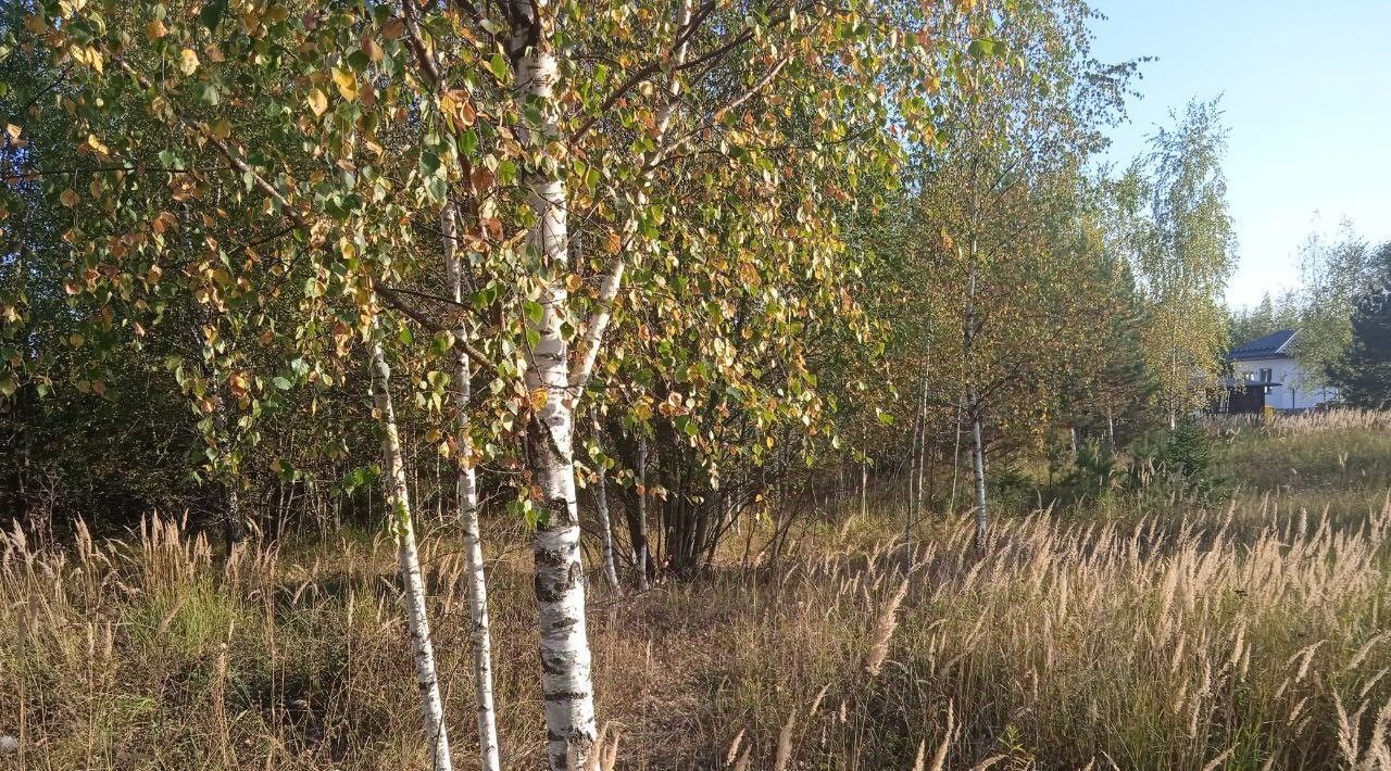 офис городской округ Сергиево-Посадский д Чарково фото 1