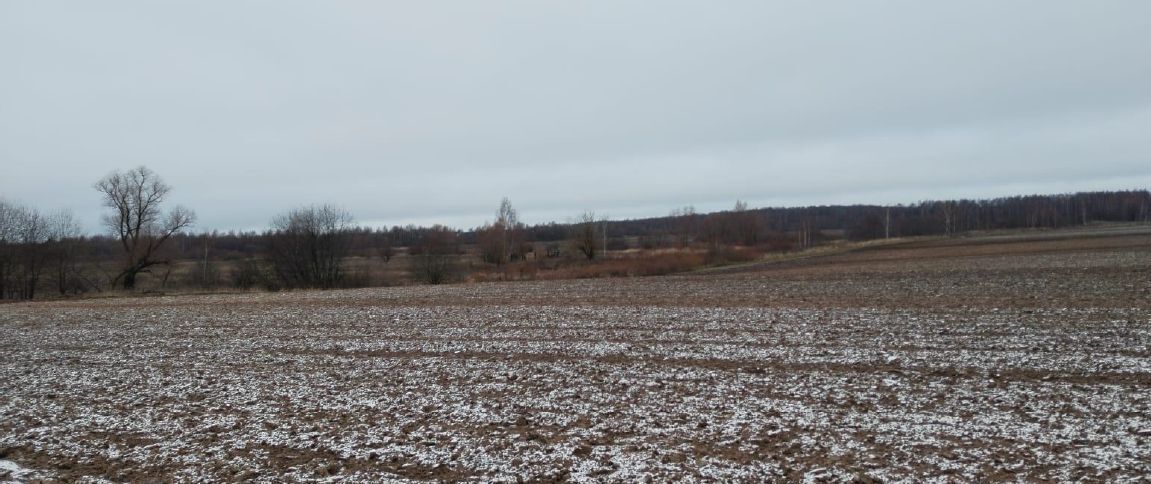 офис городской округ Дмитровский д Трехденево фото 1