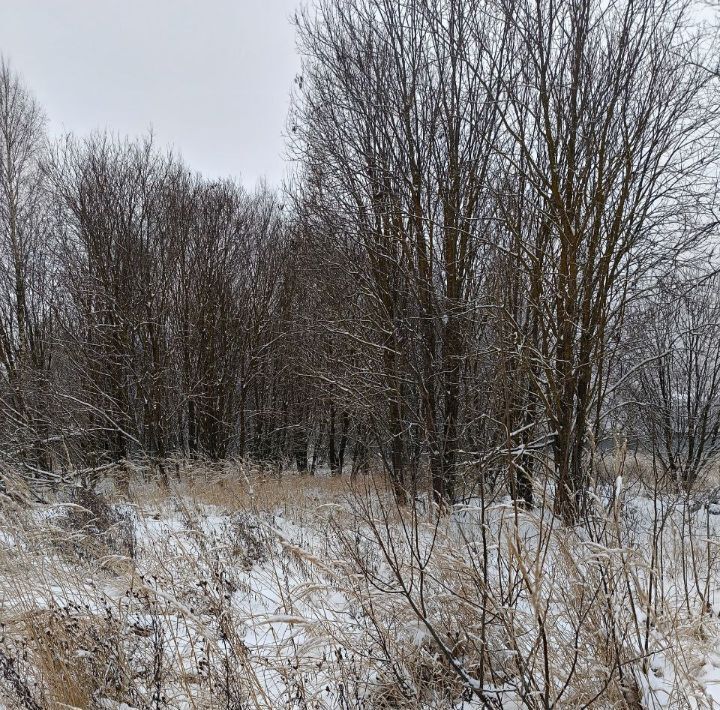 офис городской округ Павловский Посад пос. ЛПХ Сонин Луг фото 1