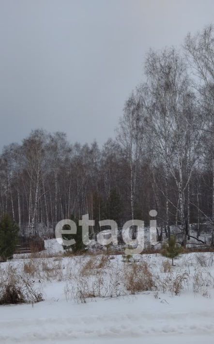 земля р-н Емельяновский д Бугачево снт тер.Добрый сельсовет, Элитовский фото 14