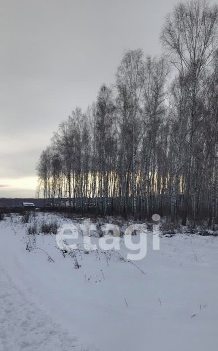 земля р-н Емельяновский д Бугачево снт тер.Добрый сельсовет, Элитовский фото 19