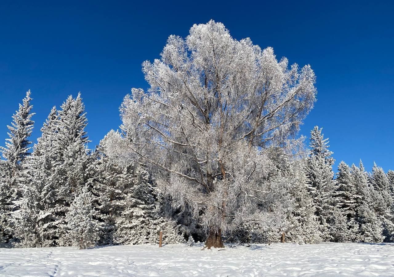 дом р-н Тункинский с Кырен 81К-033 фото 7