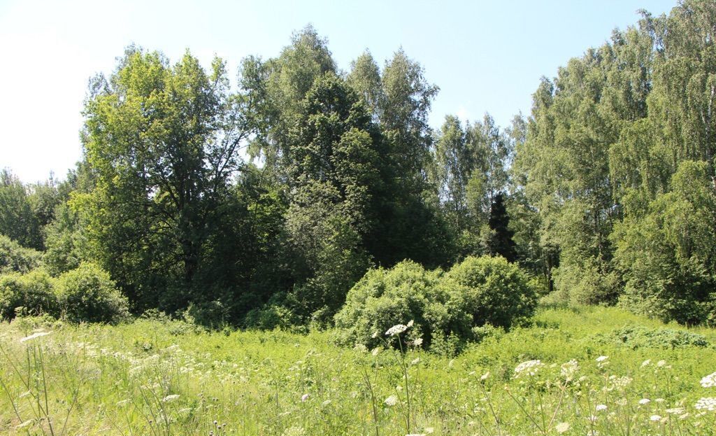 земля городской округ Богородский г Ногинск посёлок имени Володарского 39 км, Горьковское шоссе фото 13