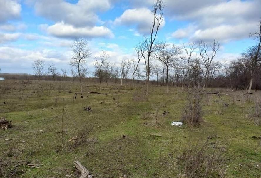 земля р-н Гудермесский г Гудермес Гудермесское городское поселение, некоммерческое товарищество Гороно, Вторая ул., 12, садовое фото 4