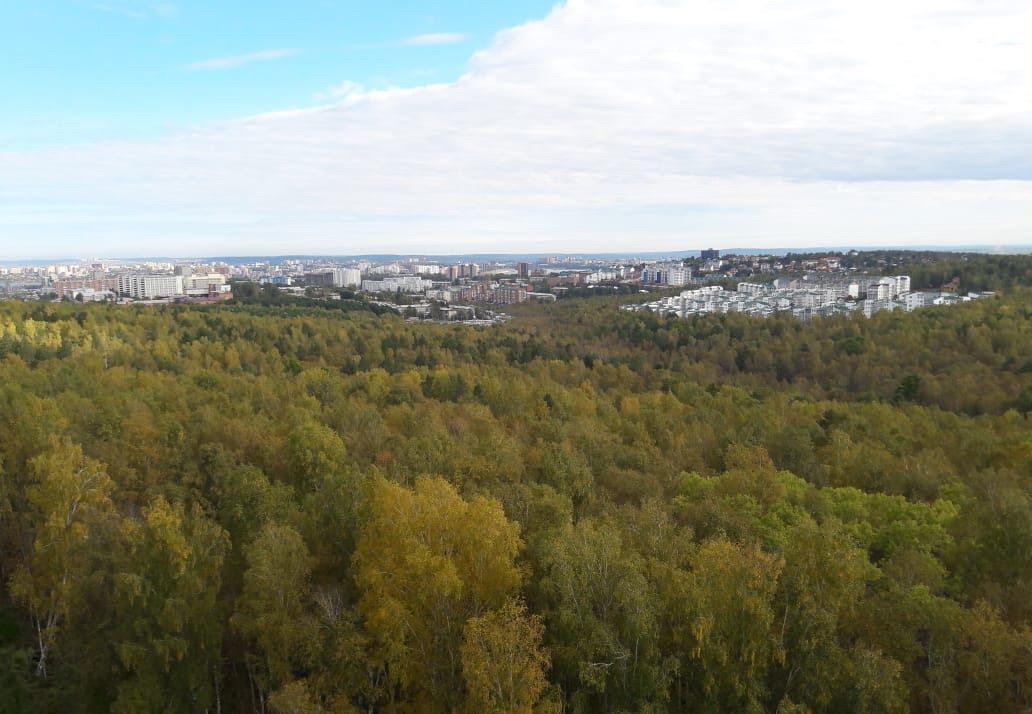 квартира р-н Иркутский рп Маркова ЖК «Южный парк» 3 Марковское городское поселение фото 21