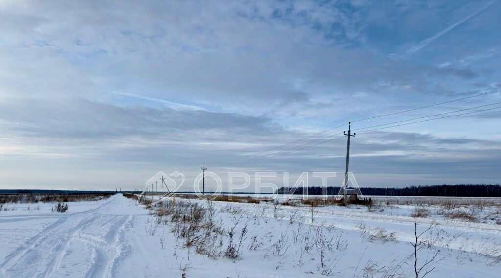 земля р-н Тюменский с Горьковка ул Сибирская Горьковское сельское поселение фото 3