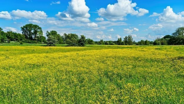 земля г Назрань р-н Центральный административный округ фото 1