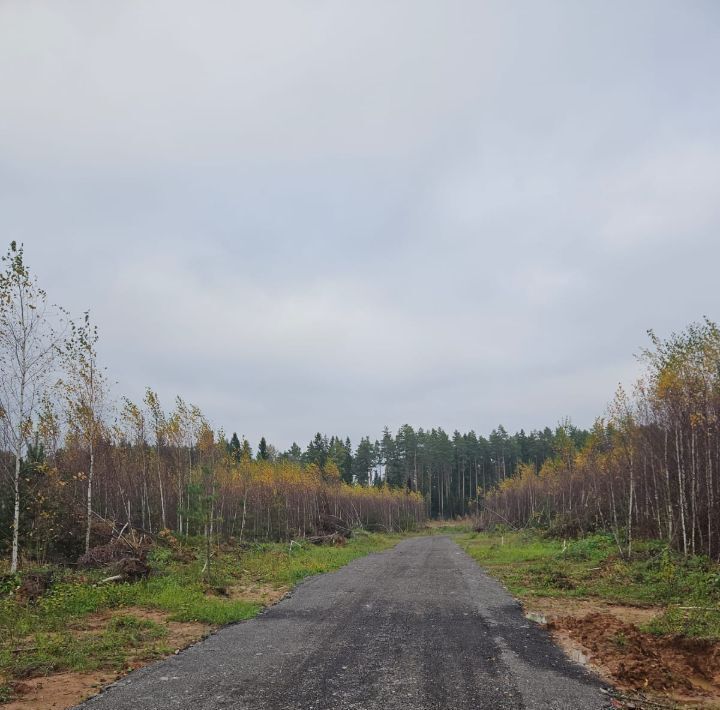 земля городской округ Солнечногорск д Лопотово фото 2