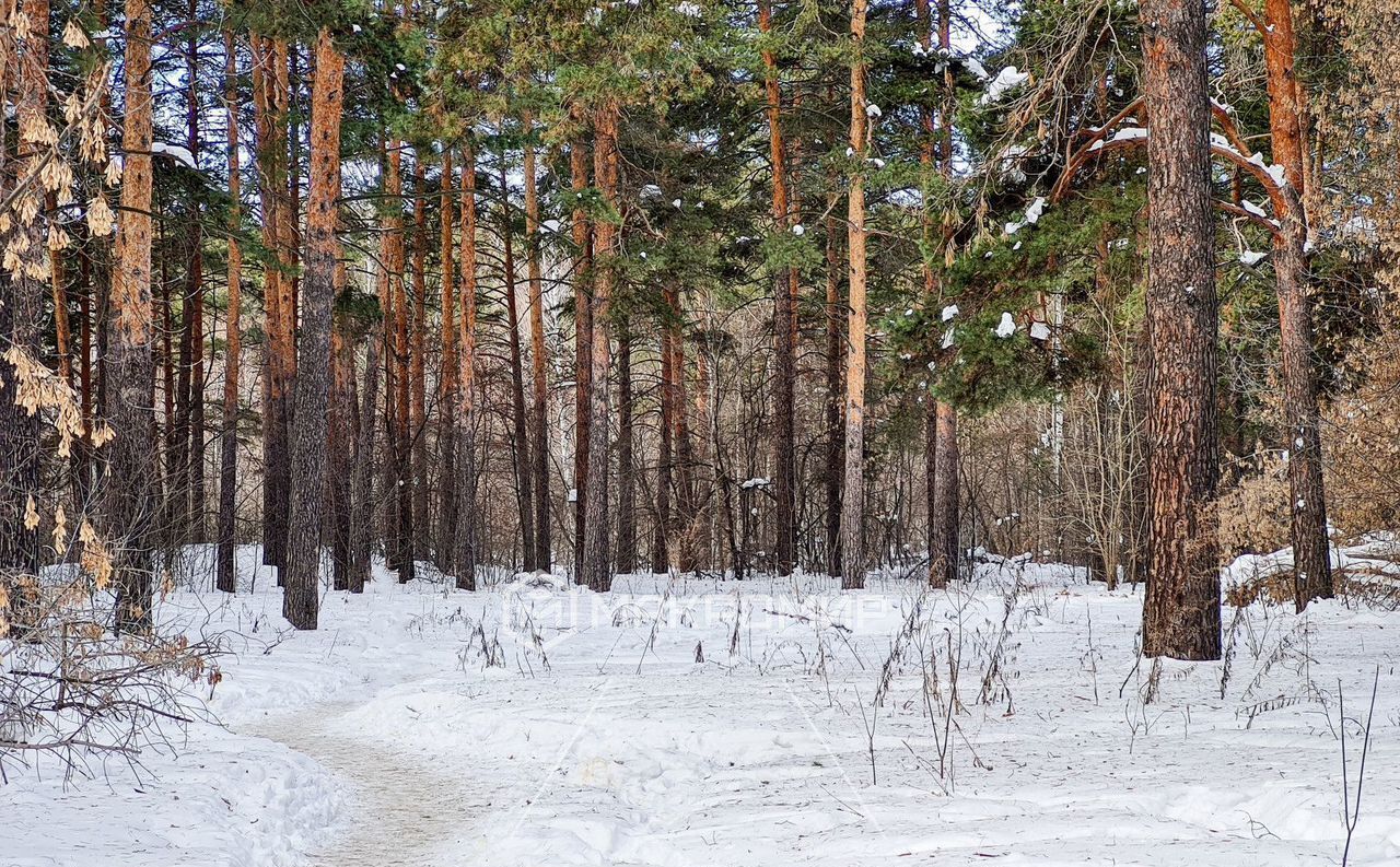 квартира г Челябинск р-н Центральный ул Медгородок 10 фото 16