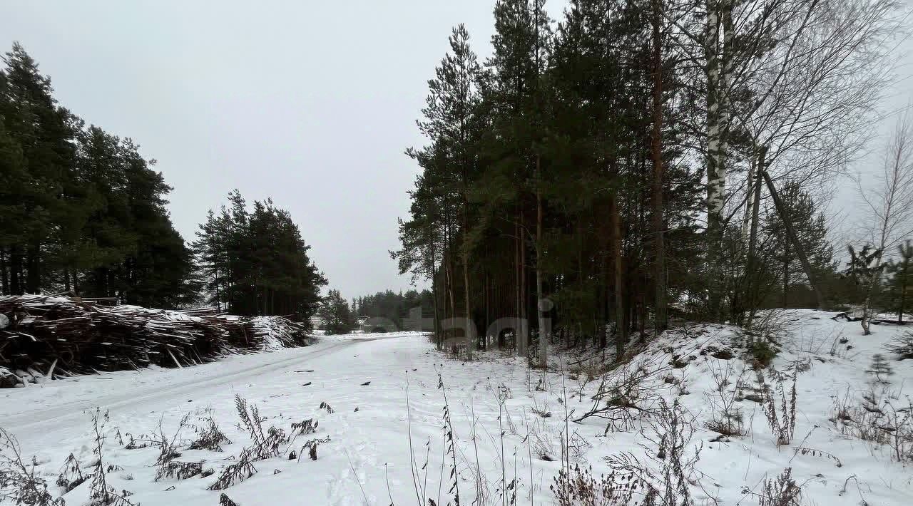 земля р-н Киришский п Будогощь ул Гоголя 14 Будогощское городское поселение фото 4