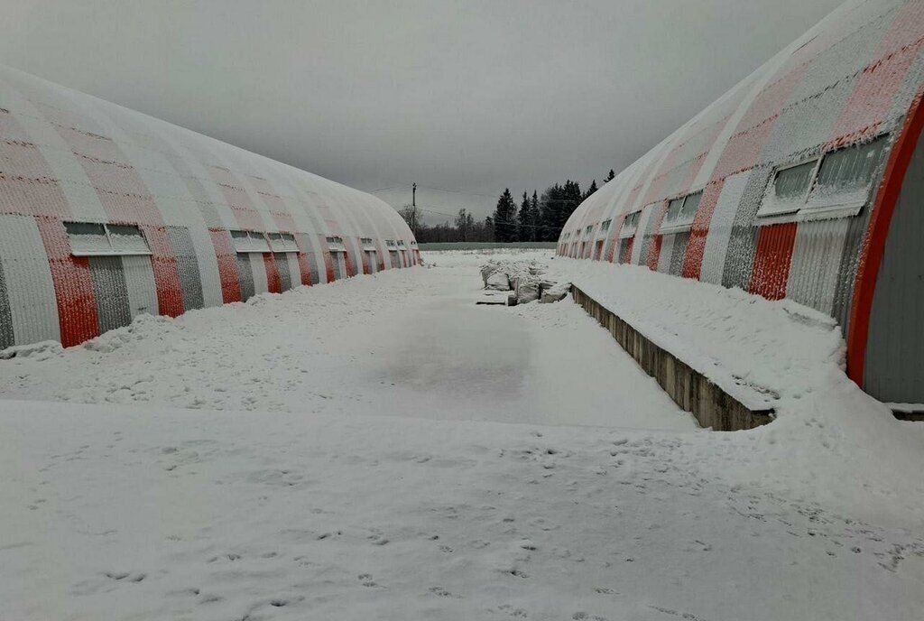 производственные, складские городской округ Пушкинский территория Промзона Алёшино, 14 фото 18