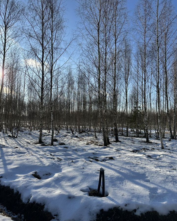 земля городской округ Серпухов п Пролетарский 63 км, коттеджный пос. Форест Парк, г. о. Серпухов, Симферопольское шоссе фото 1