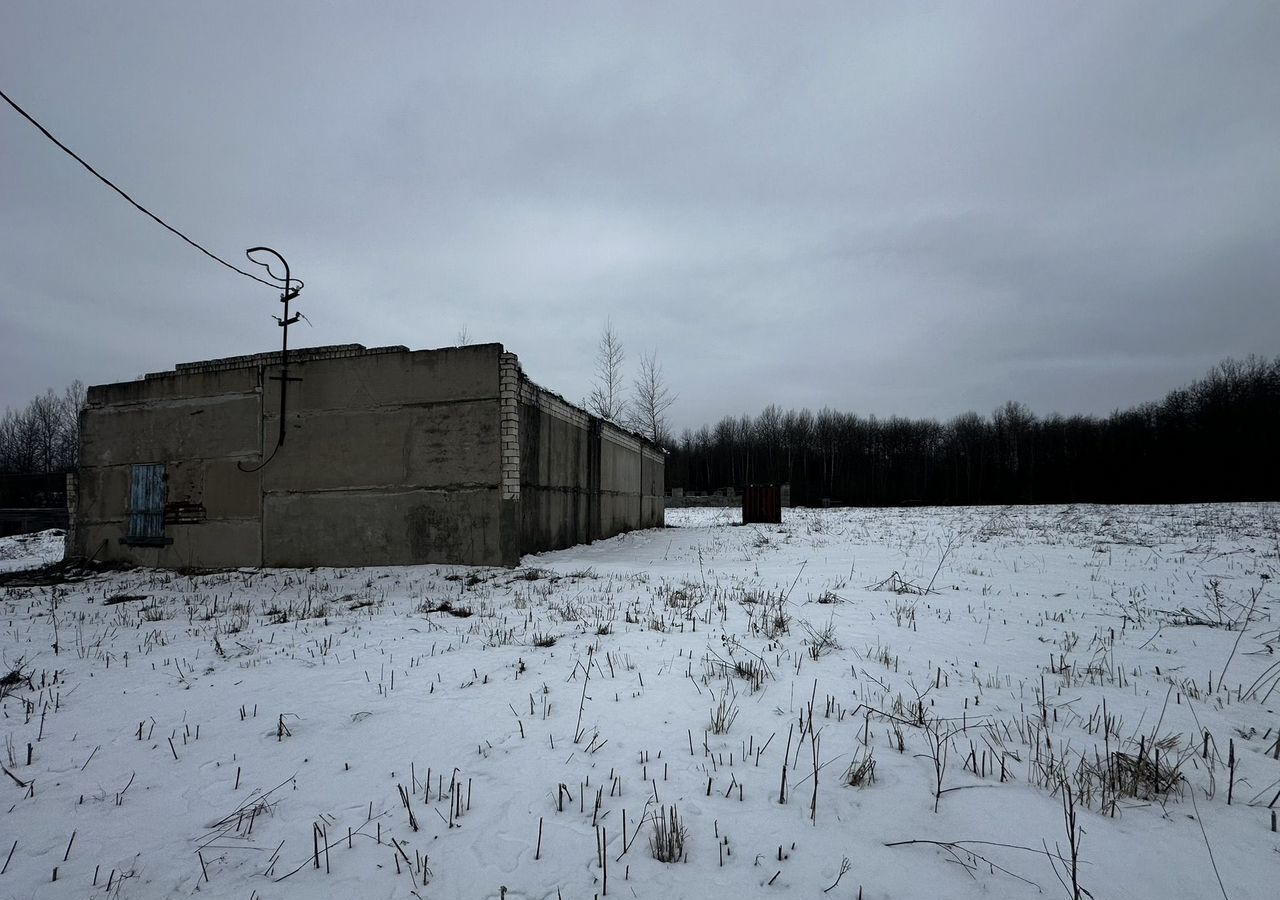 земля р-н Юрьев-Польский с Ополье муниципальное образование Красносельское фото 4