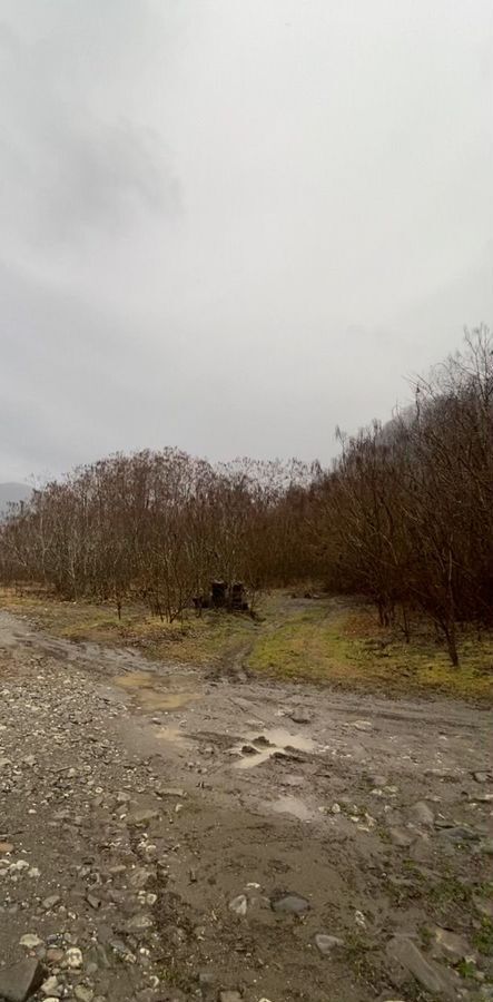 земля г Сочи р-н Лазаревский с Солохаул фото 3