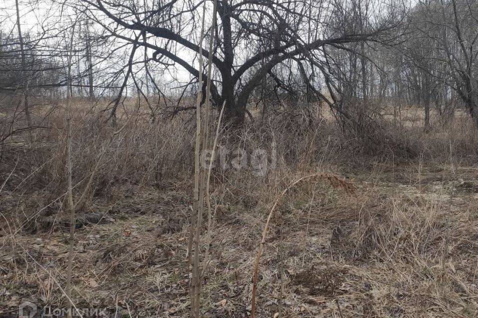 дом р-н Хабаровский с Ракитное квартал Грушевый сад фото 7